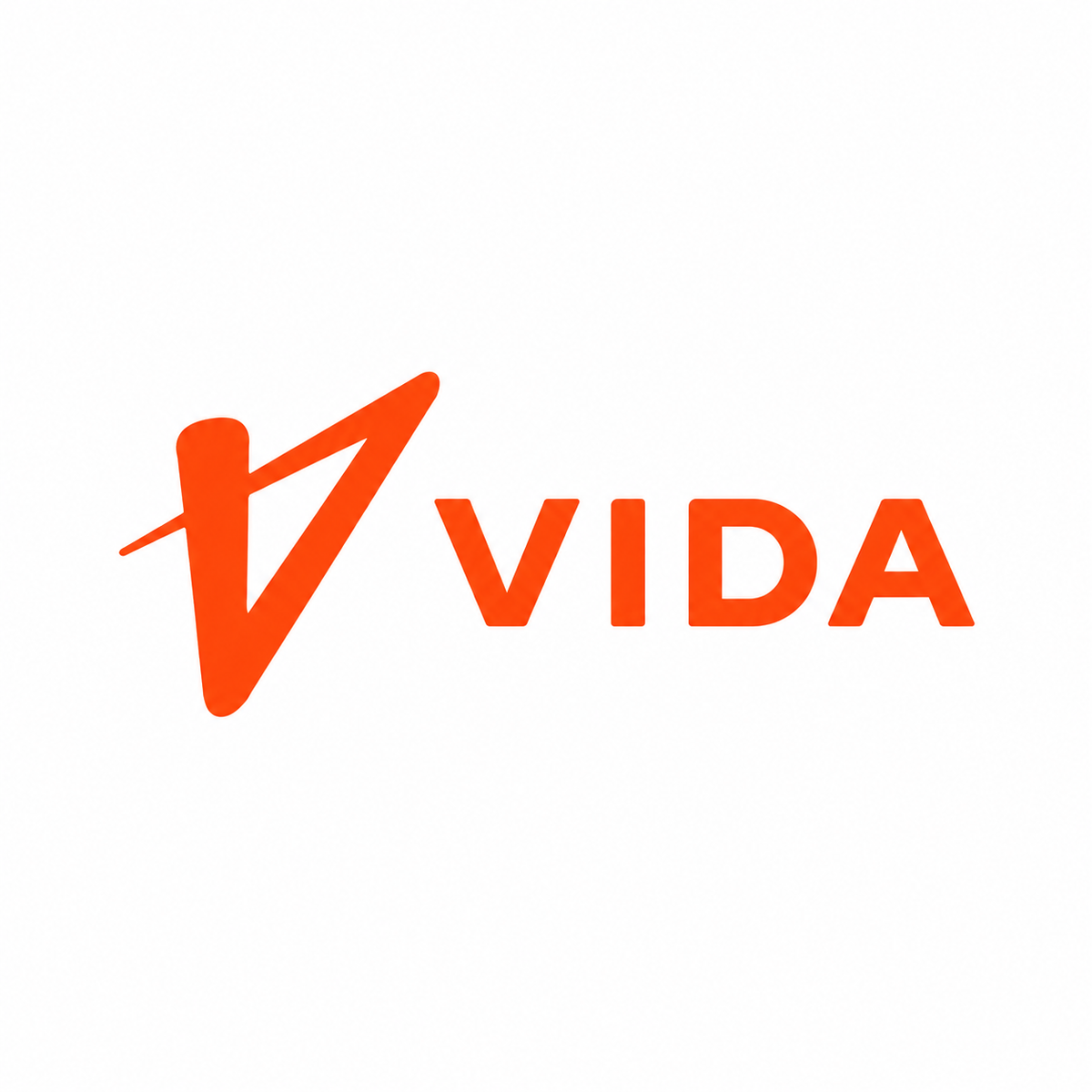 Vida VX2 Core Series bike cover